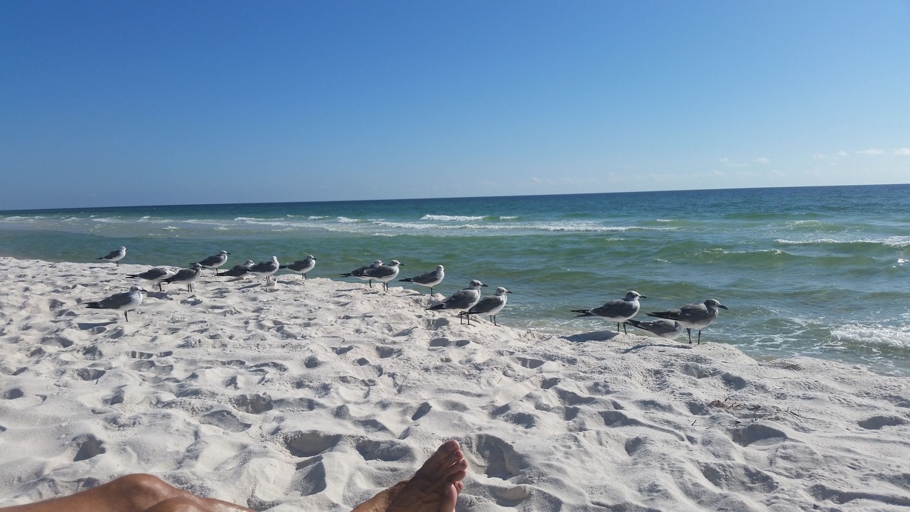 Photo of Others in Kiska Beach