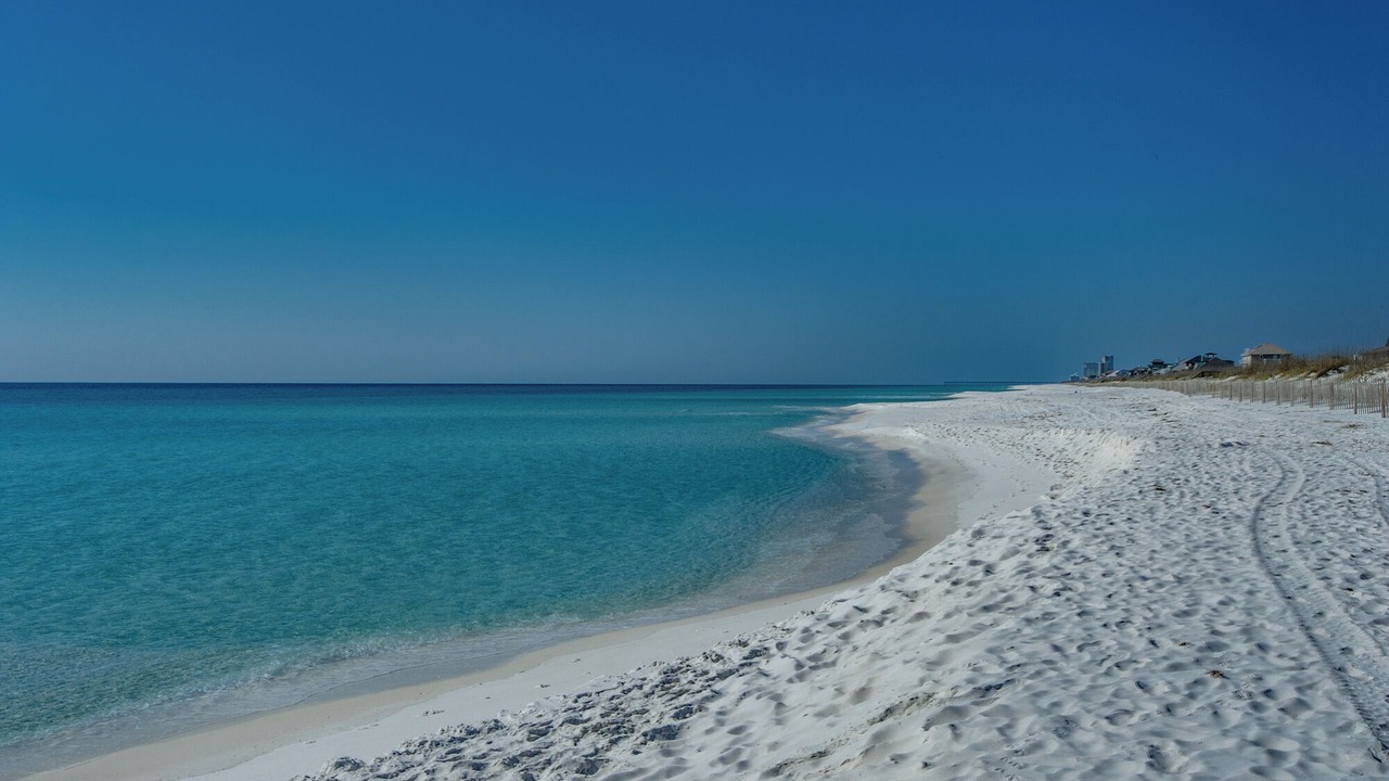 Photo of Others in Pensacola Beach