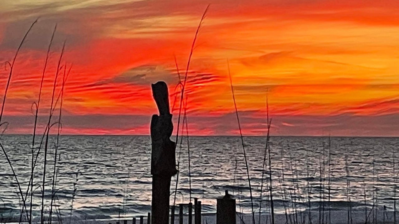 Photo of Others in Biltmore Beach