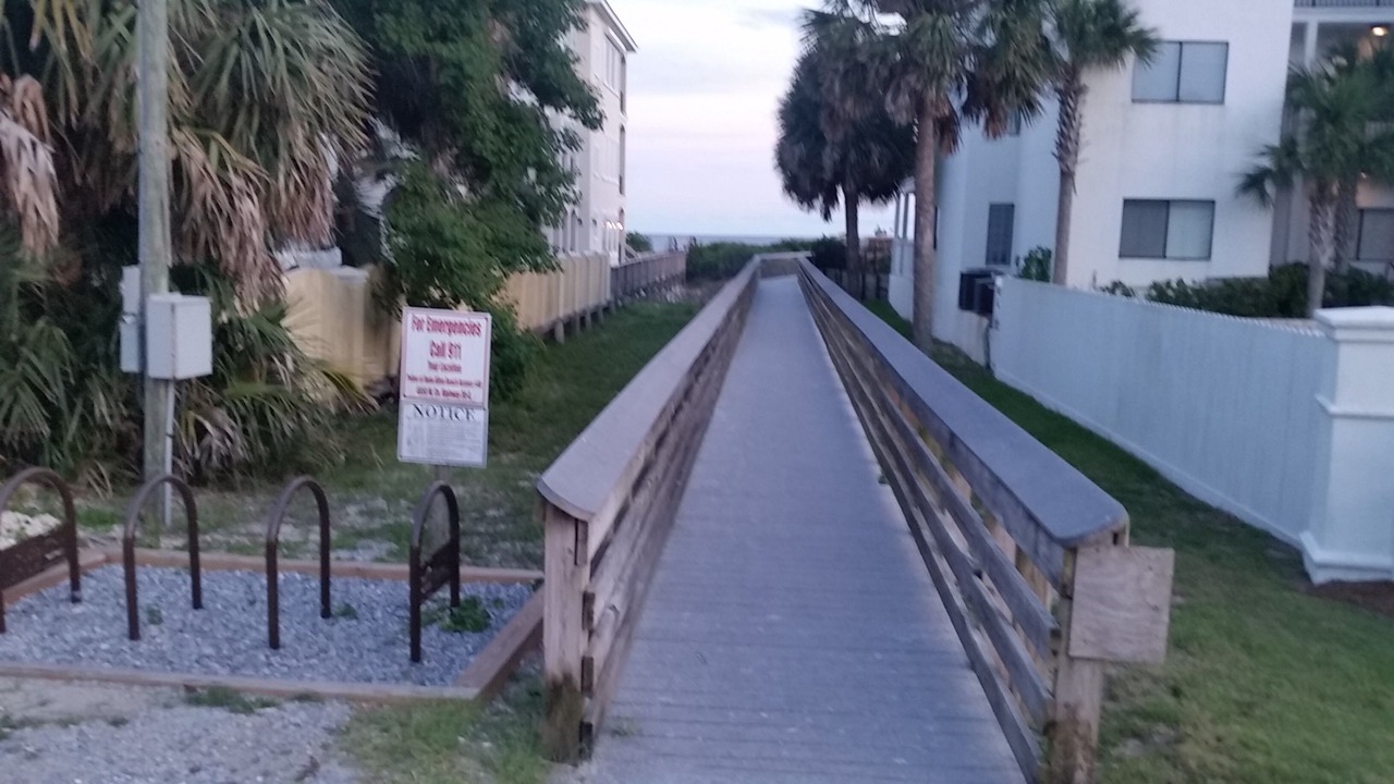 Photo of Others in Dune Allen Beach