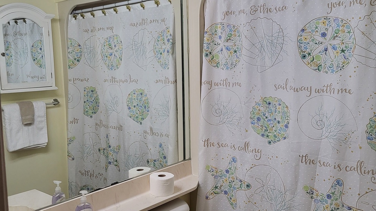 Photo of Bathroom in Gulf Lagoon Beach