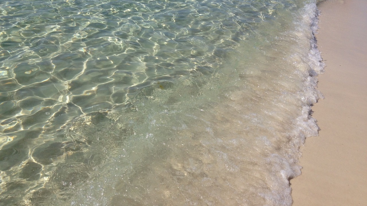 Photo of Others in Holiday Beach