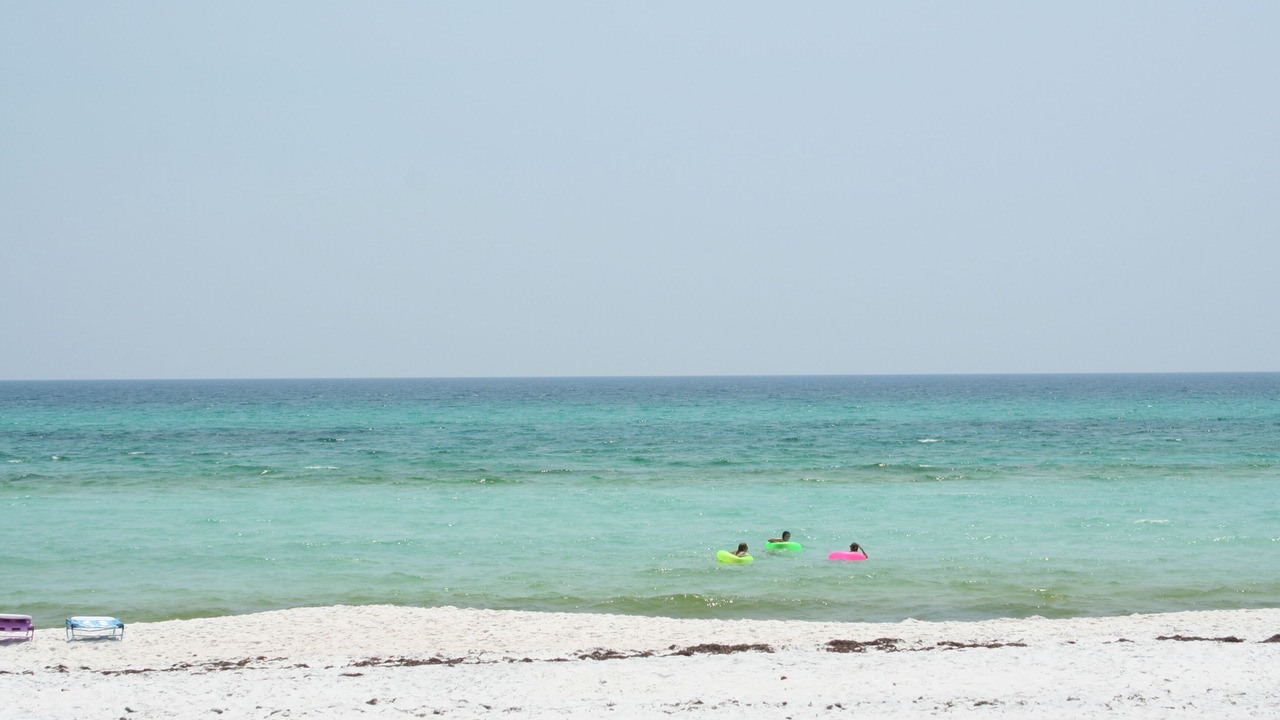 Photo of Others in White's Gulfview