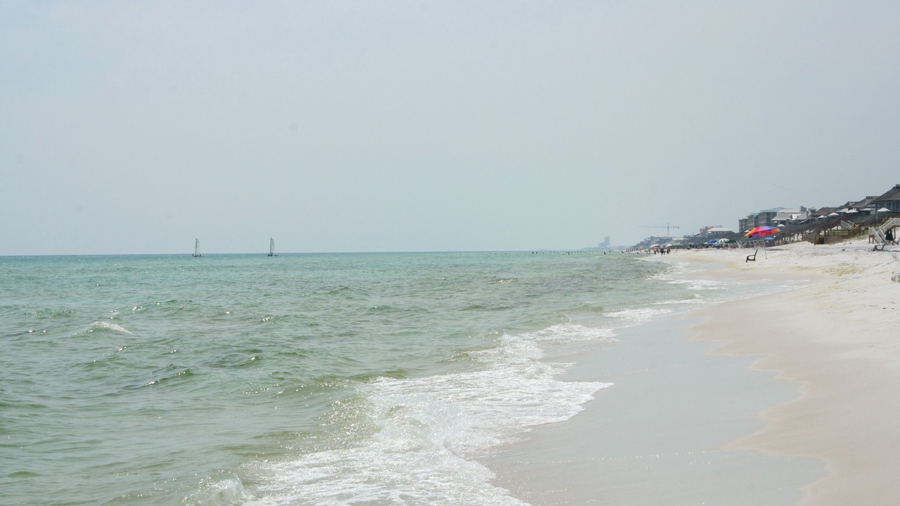 Photo of Others in White's Gulfview
