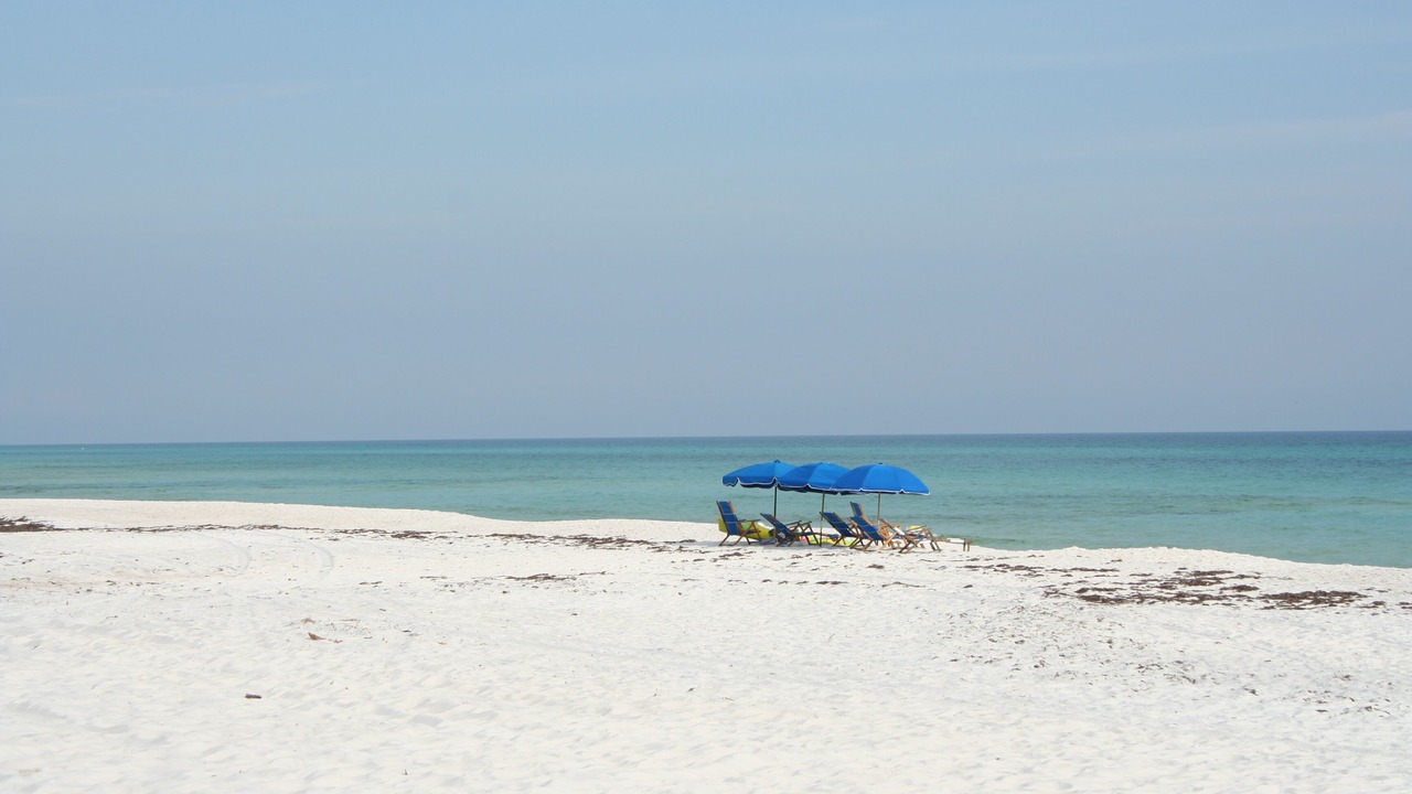 Photo of Others in White's Gulfview