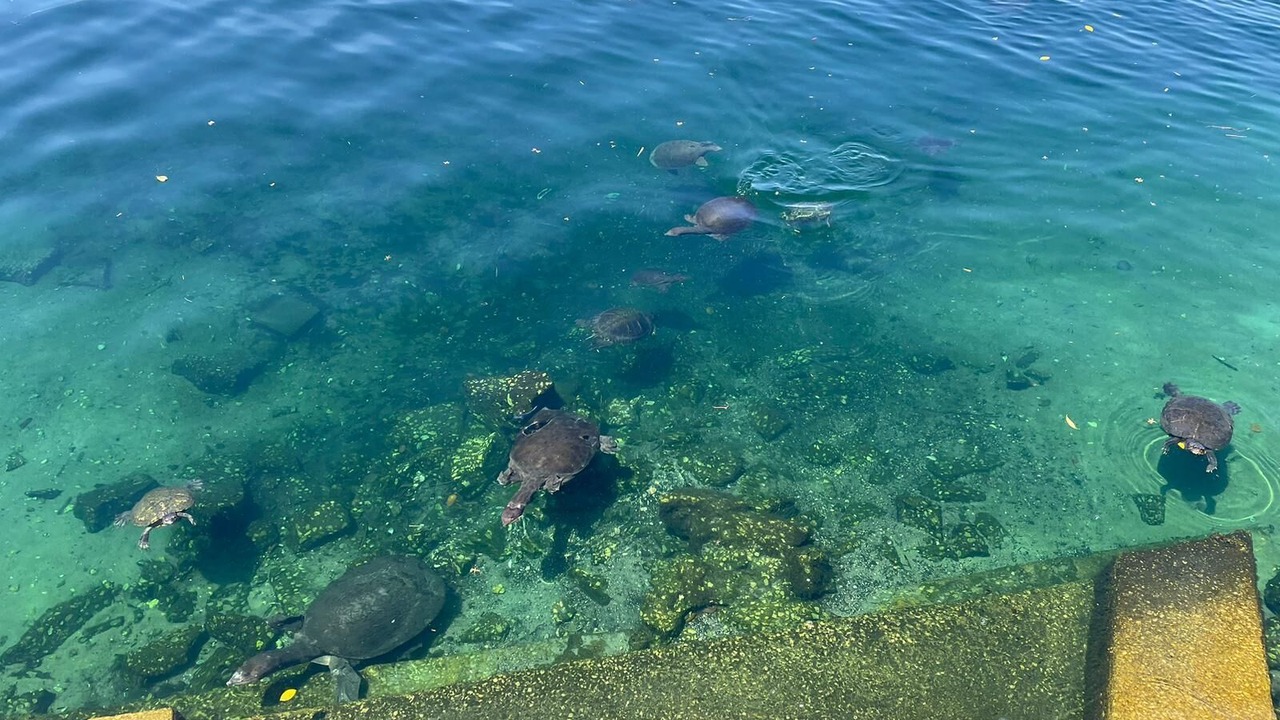 Photo of Others in Butler Beach