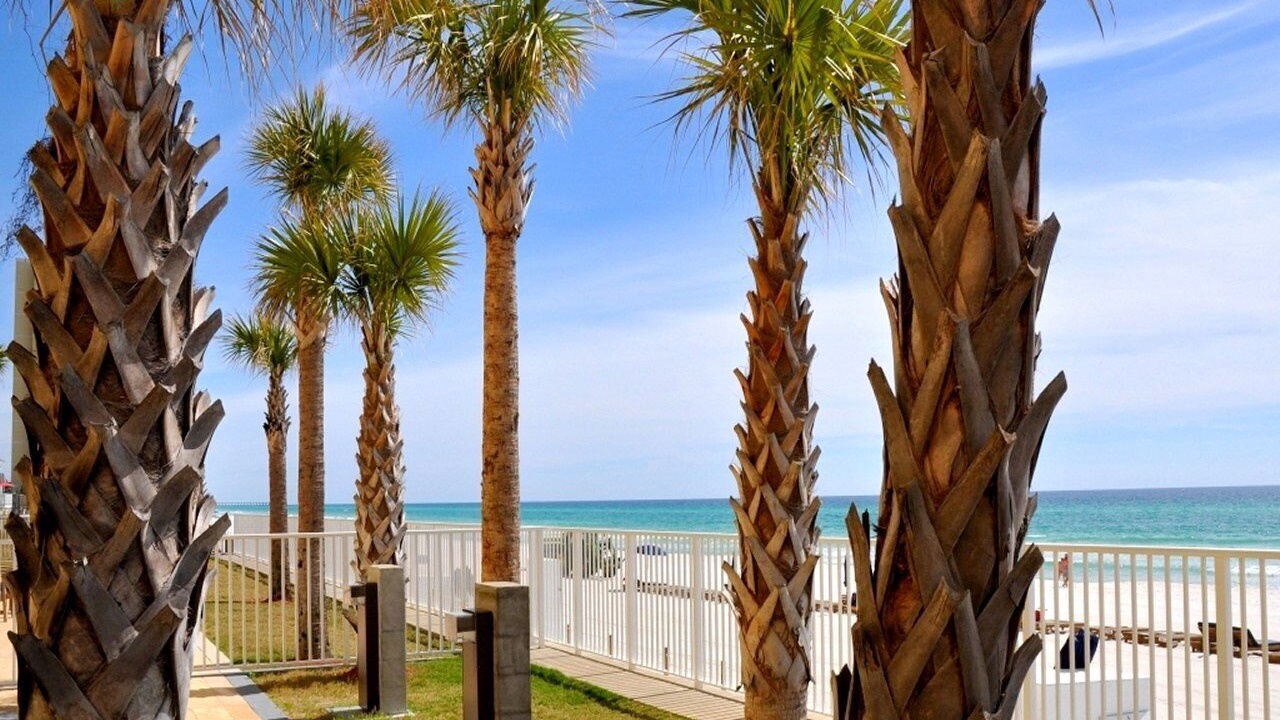 Photo of Others in West Panama City Beach