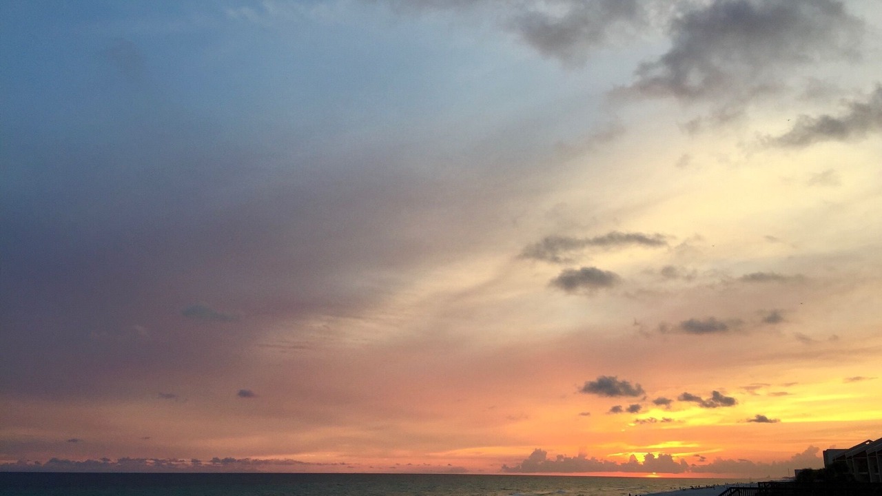 Photo of Others in Fort Bay
