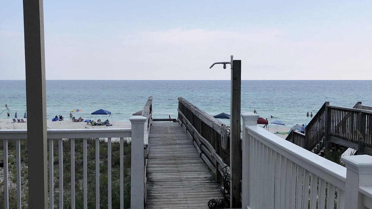 Photo of Others in Fort Bay