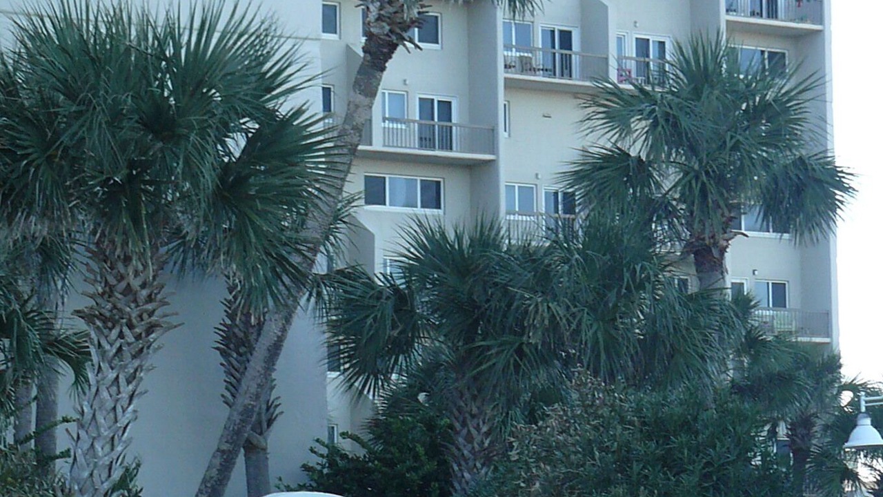 Photo of Outdoor in Sunnyside