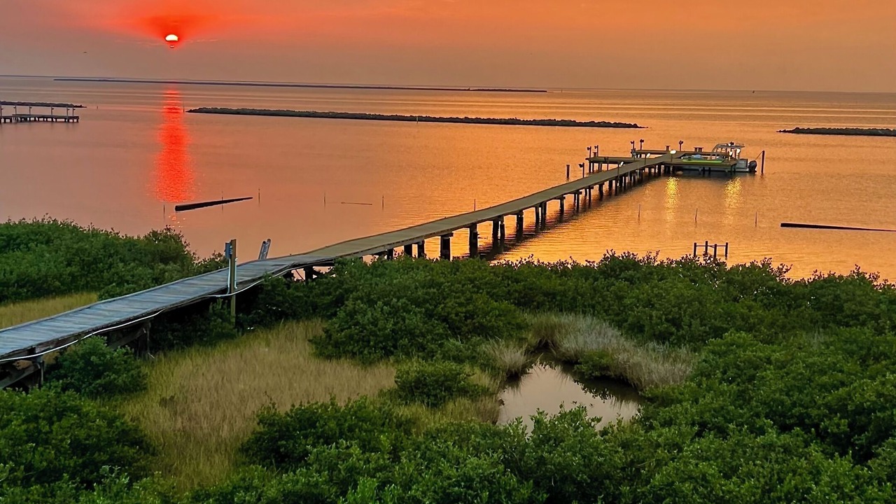 Photo of Others in Grand Isle