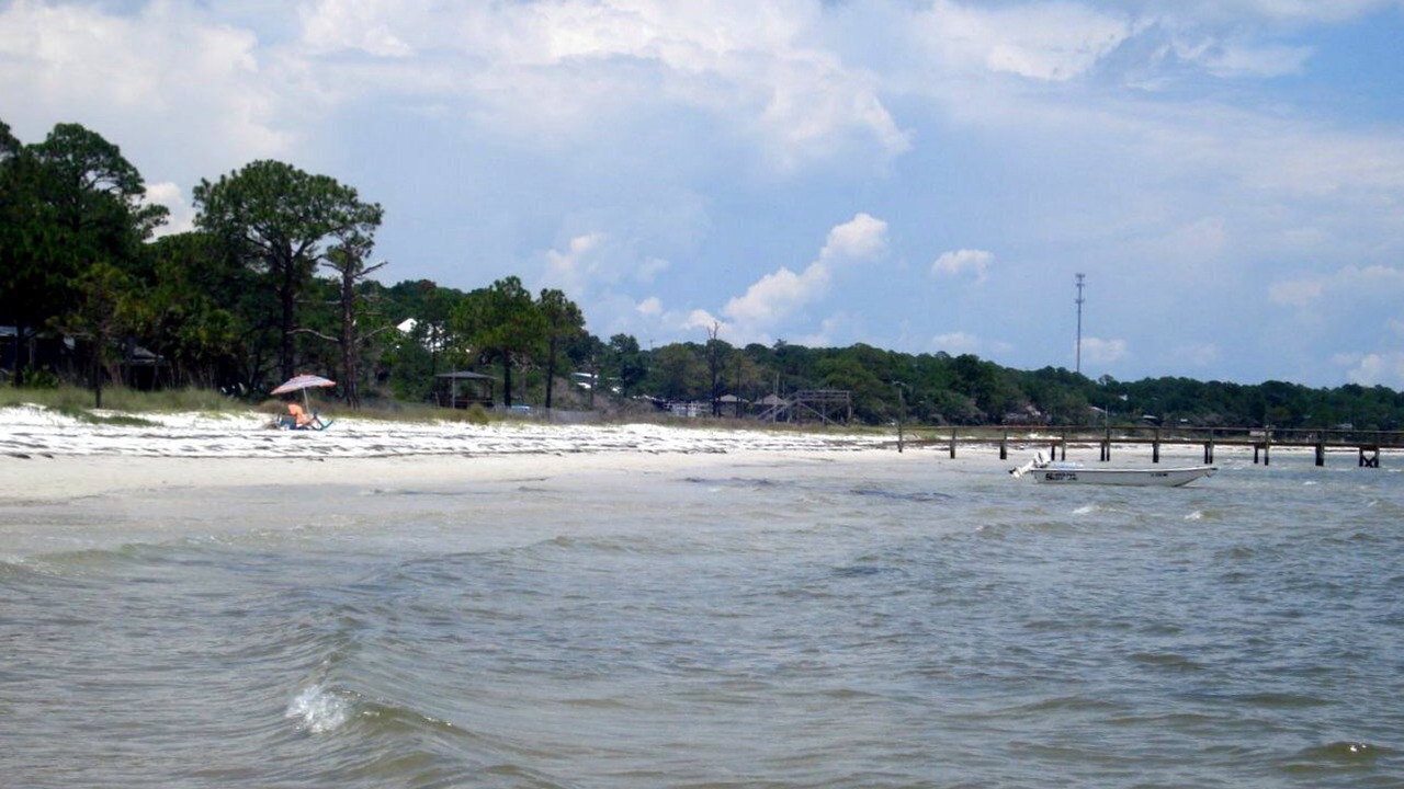 Photo of Others in Panacea