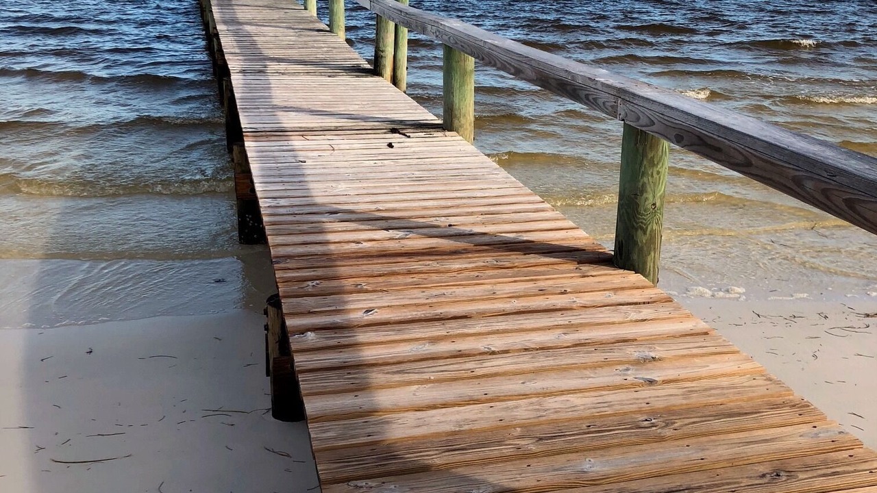 Photo of Others in Panacea