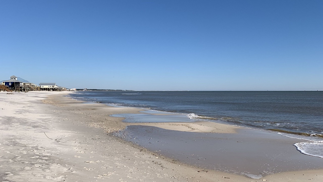 Photo of Others in Dauphin Island