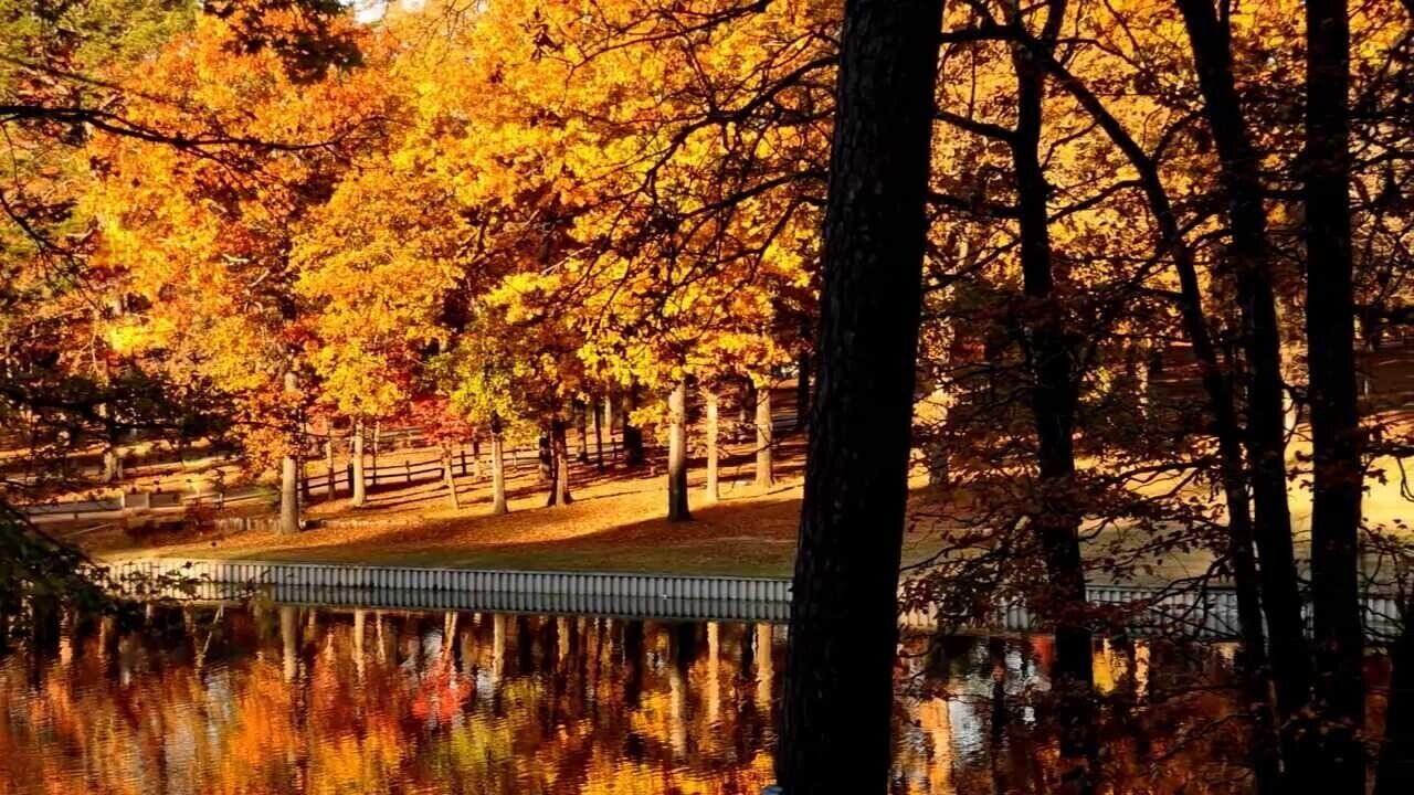 Photo of Others in Holly Lake Ranch