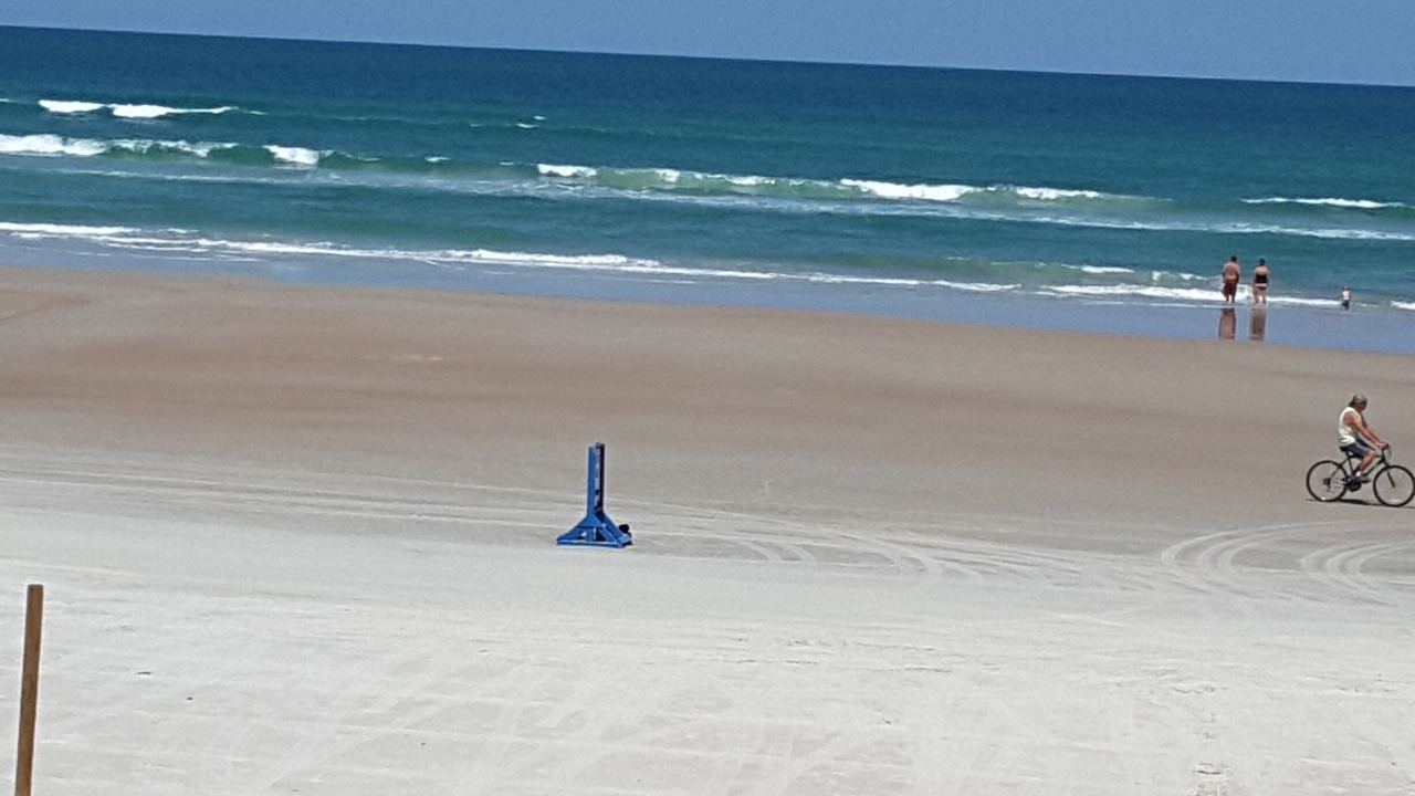 Photo of Others in Daytona Beach Shores