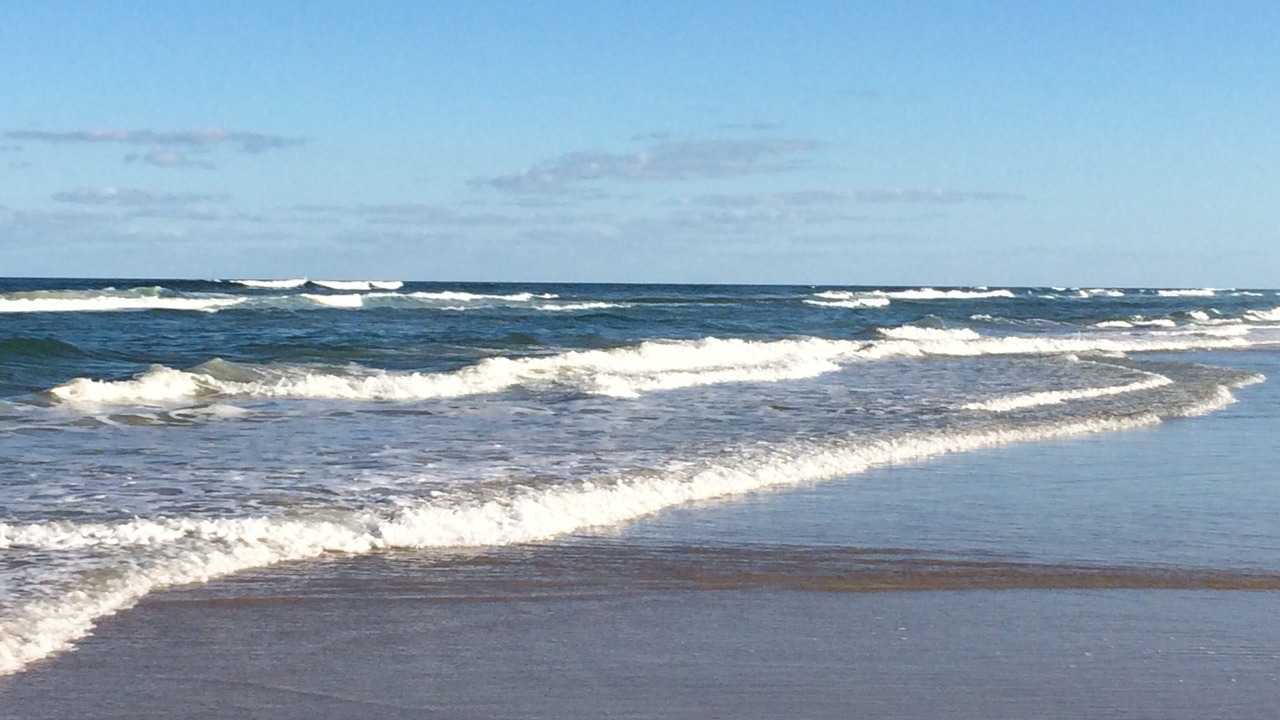 Photo of Others in Daytona Beach Shores