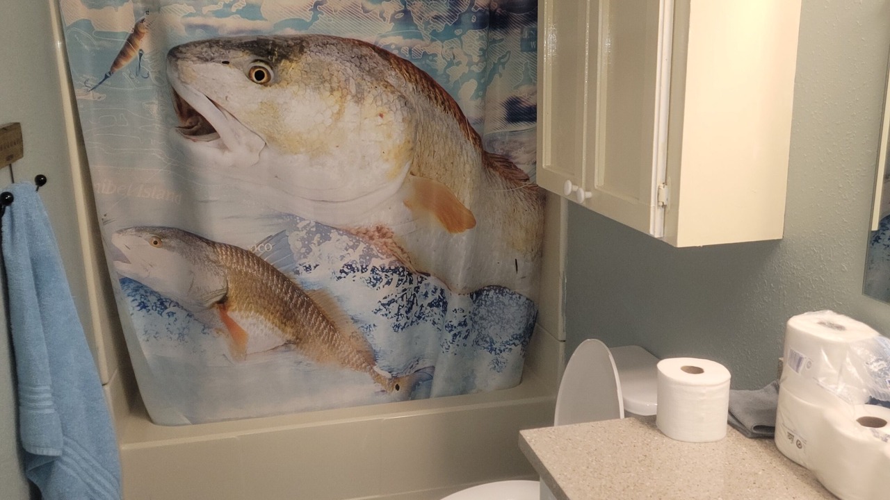 Photo of Bathroom in Dulac
