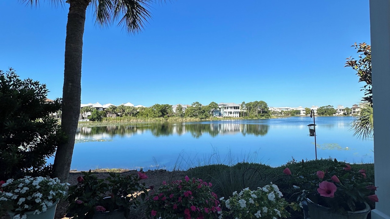 Photo of Outdoor in Sunnyside