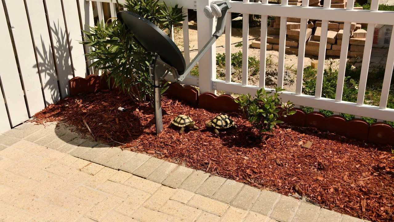Photo of Outdoor in Mexico Beach