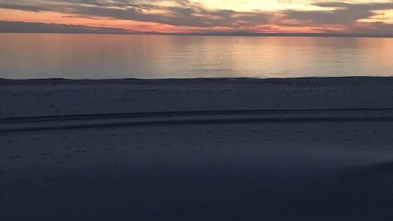 Photo of Others in Crescent Beach
