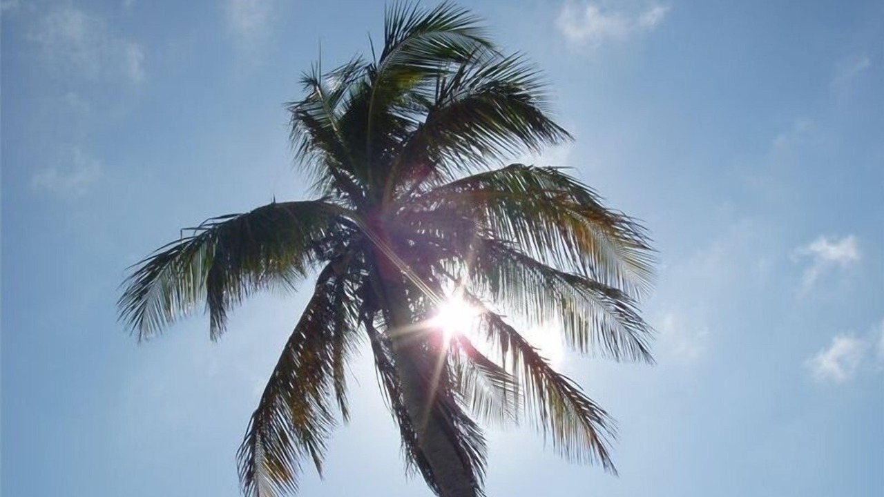Photo of Others in Key West