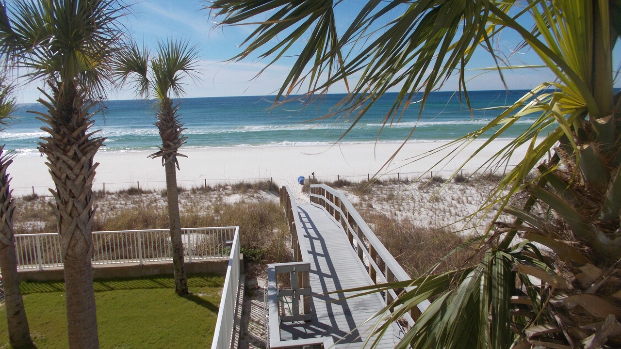 Photo of Others in Panama City Beach