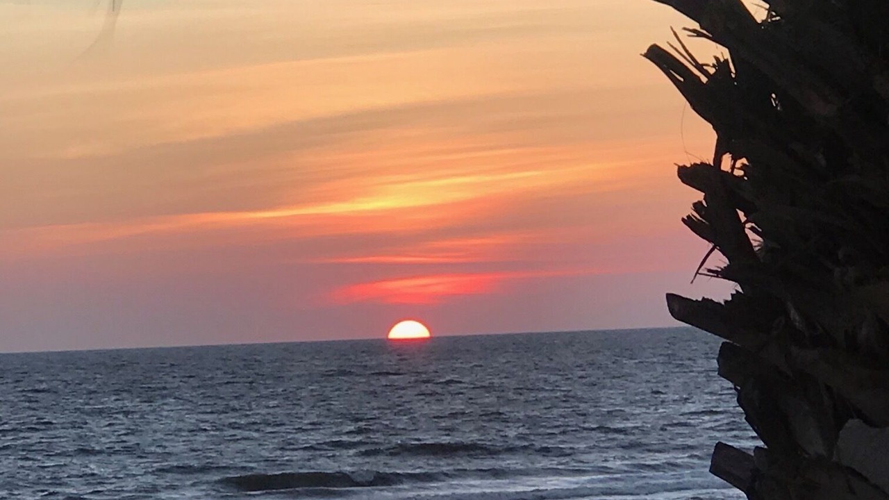 Photo of Others in Mexico Beach