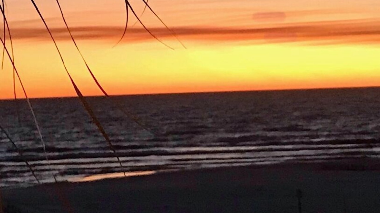 Photo of Others in Mexico Beach