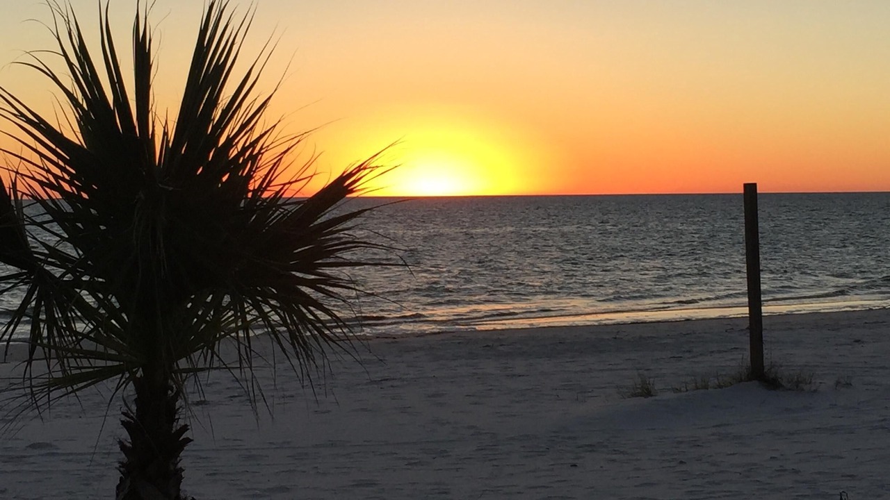 Photo of Others in Mexico Beach