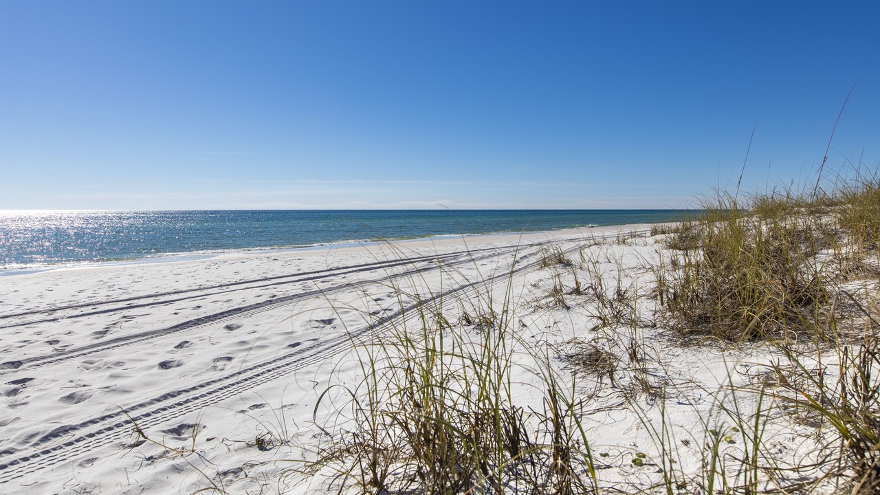 Photo of Others in Inlet Beach