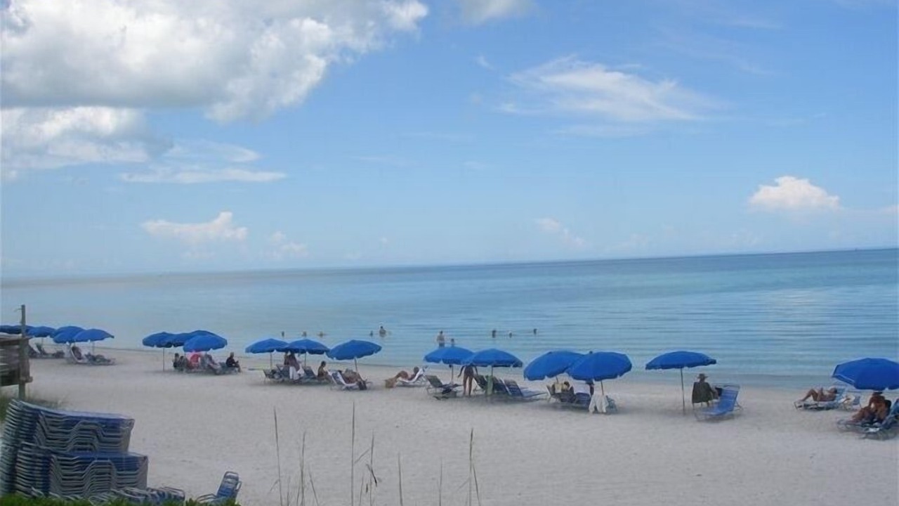 Photo of Others in Pelican Bay