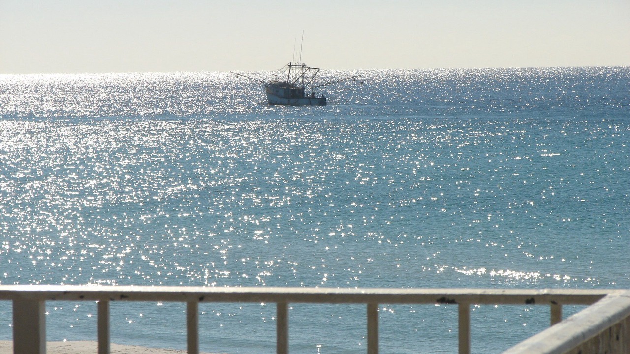 Photo of Patio Balcony in Gulf Lagoon Beach