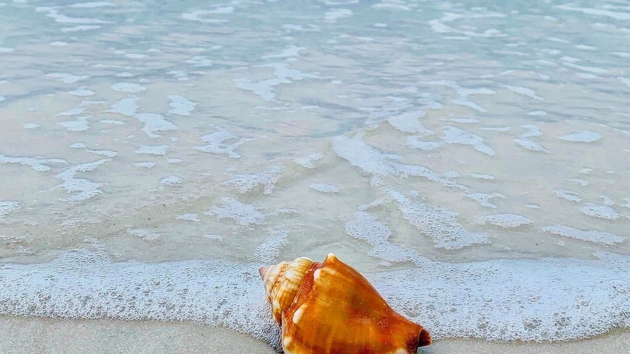 Photo of Others in Navarre Beach