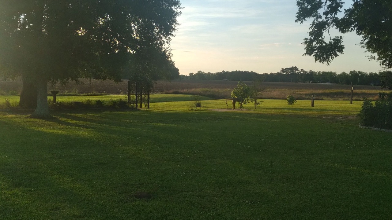 Photo of Others in Fairhope