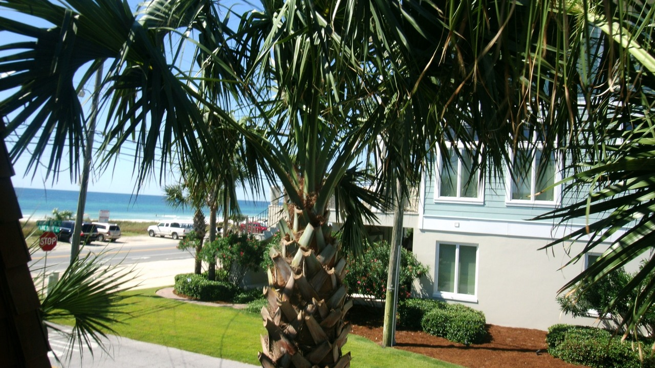 Photo of Outdoor in Laguna Beach
