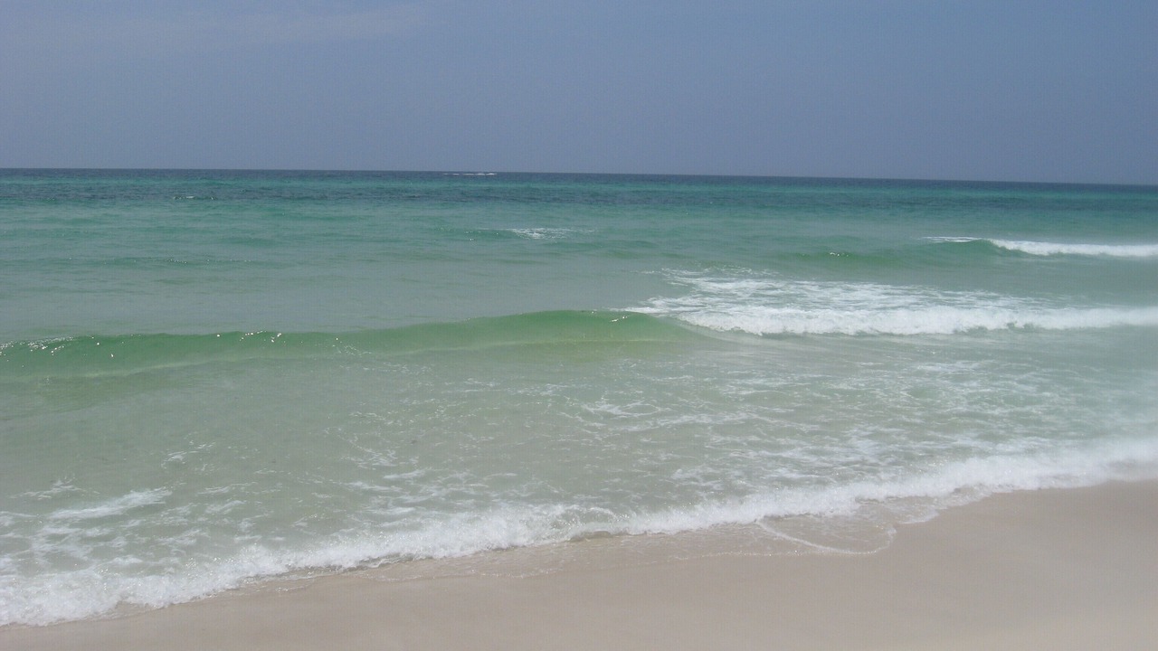 Photo of Others in Miramar Beach