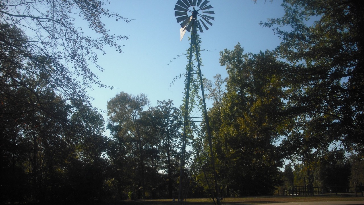 Photo of Others in Lufkin