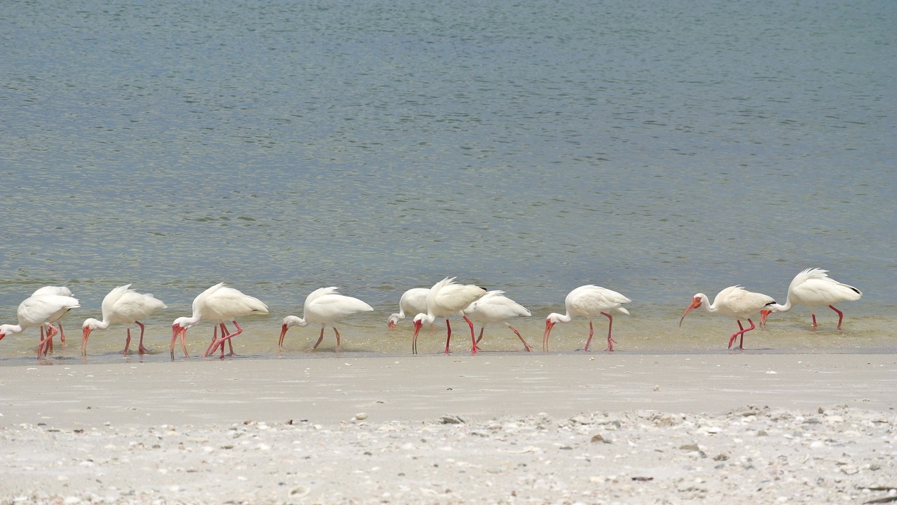Photo of Others in Park Shore