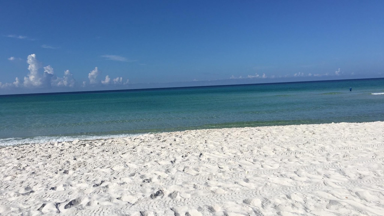 Photo of Others in Panama City Beach