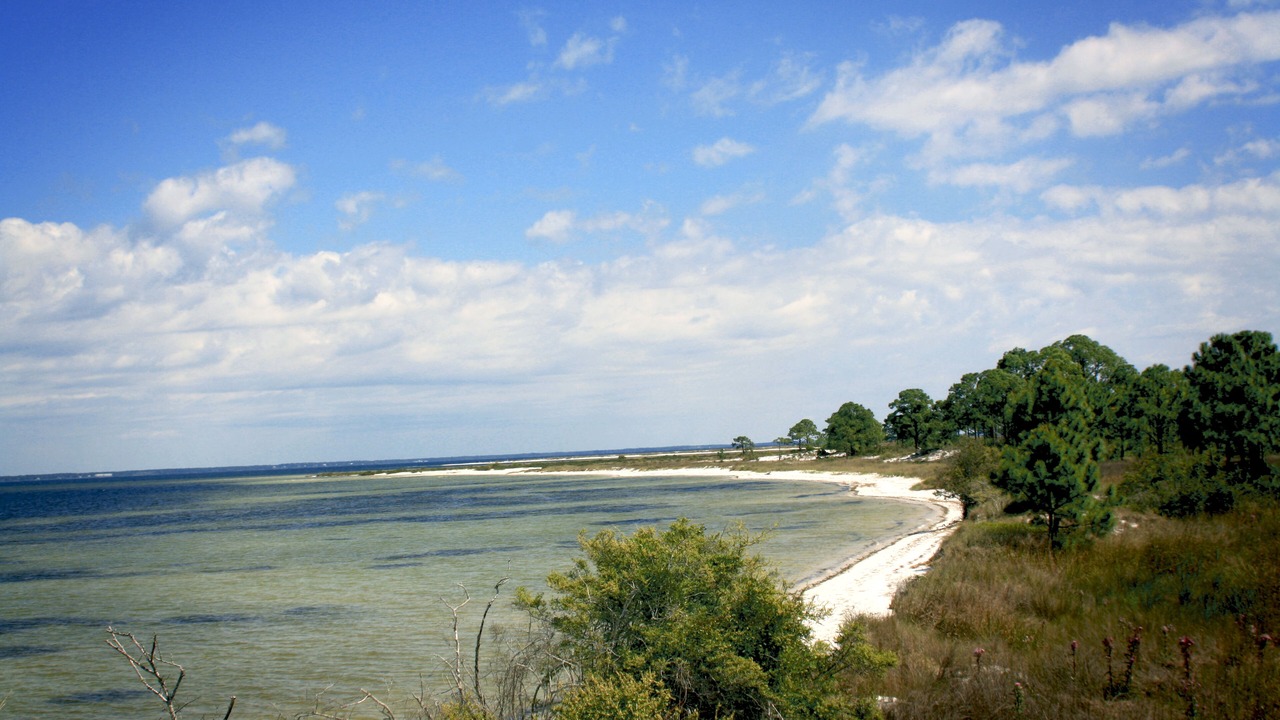 Photo of Others in Carrabelle