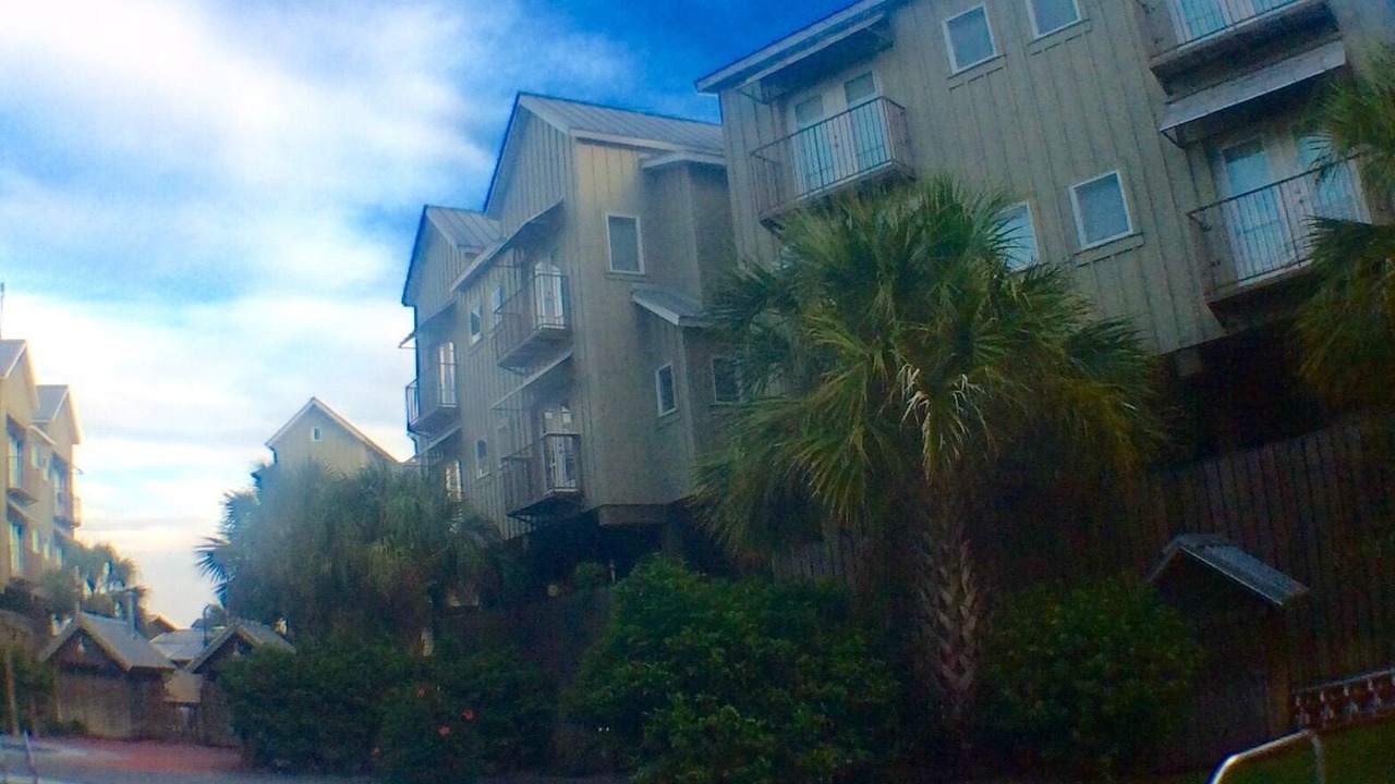 Photo of Outdoor in Carrabelle