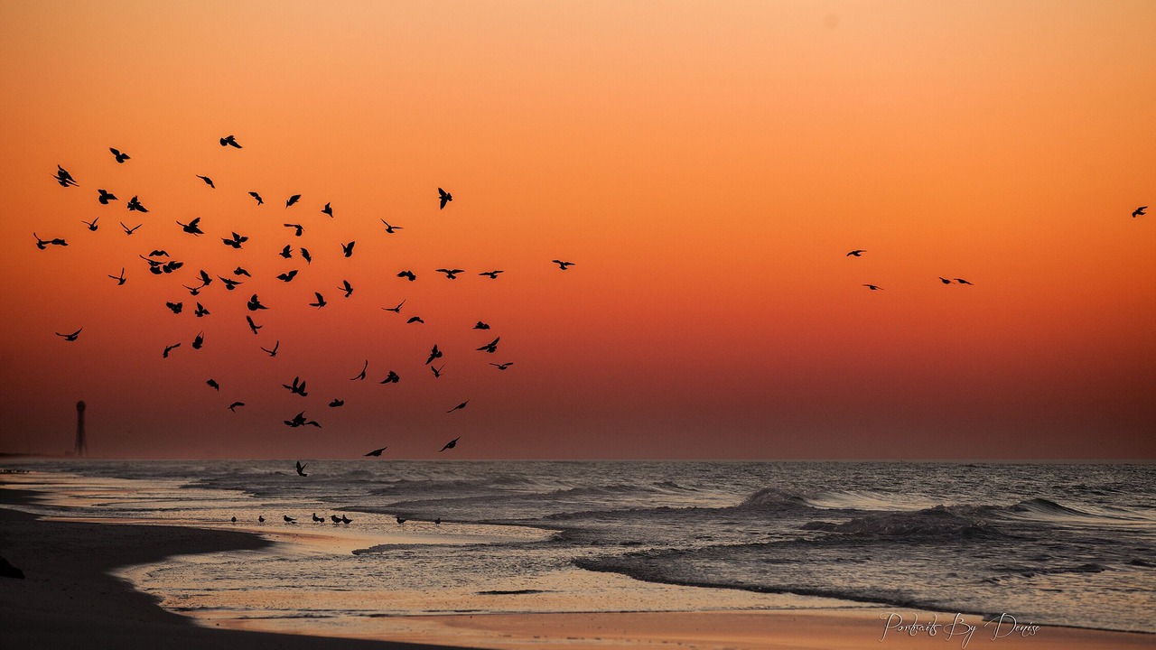 Photo of Others in Navarre Beach