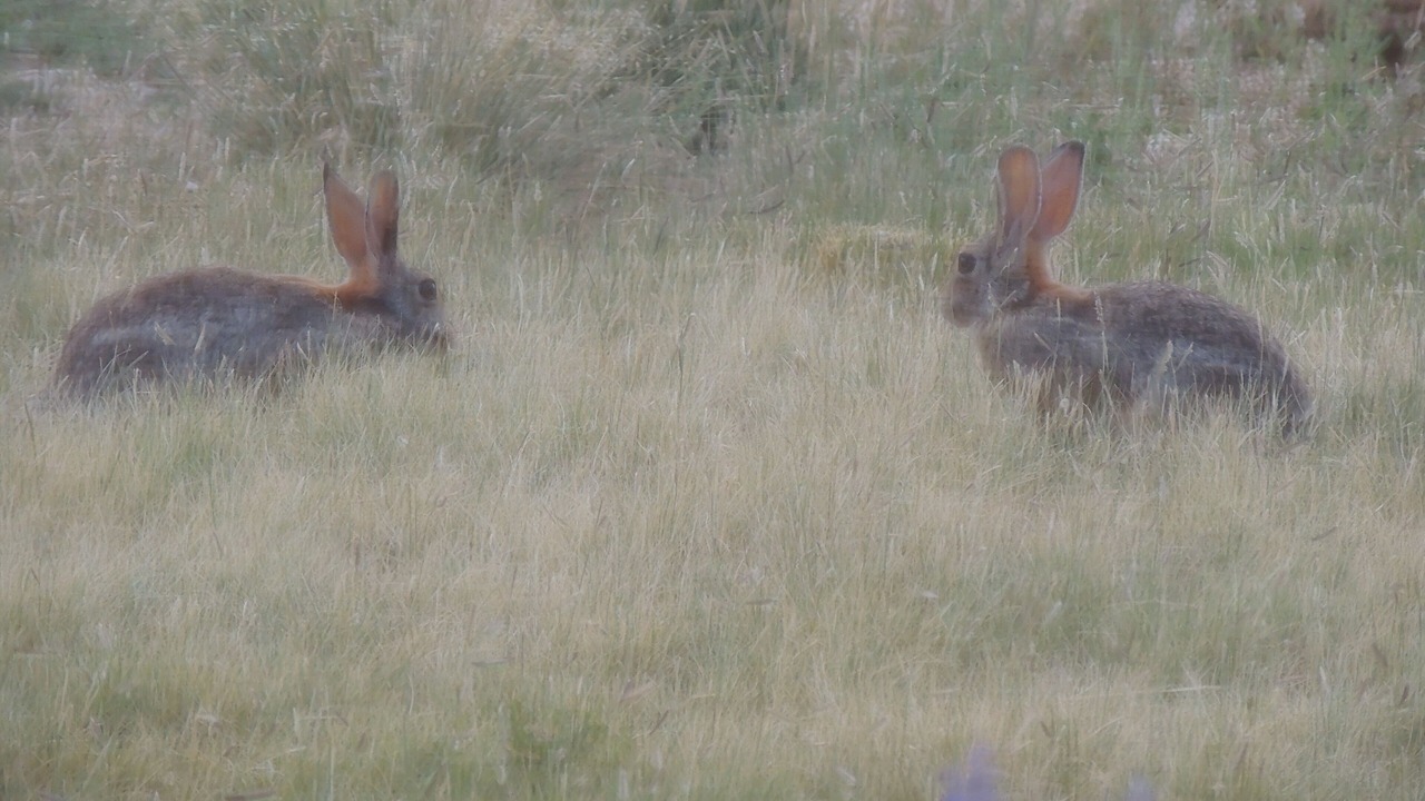 Photo of Outdoor in Nacogdoches