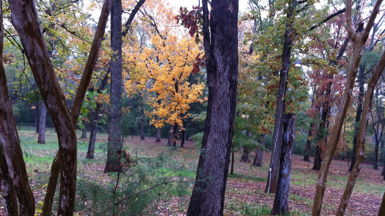 Photo of Others in Nacogdoches