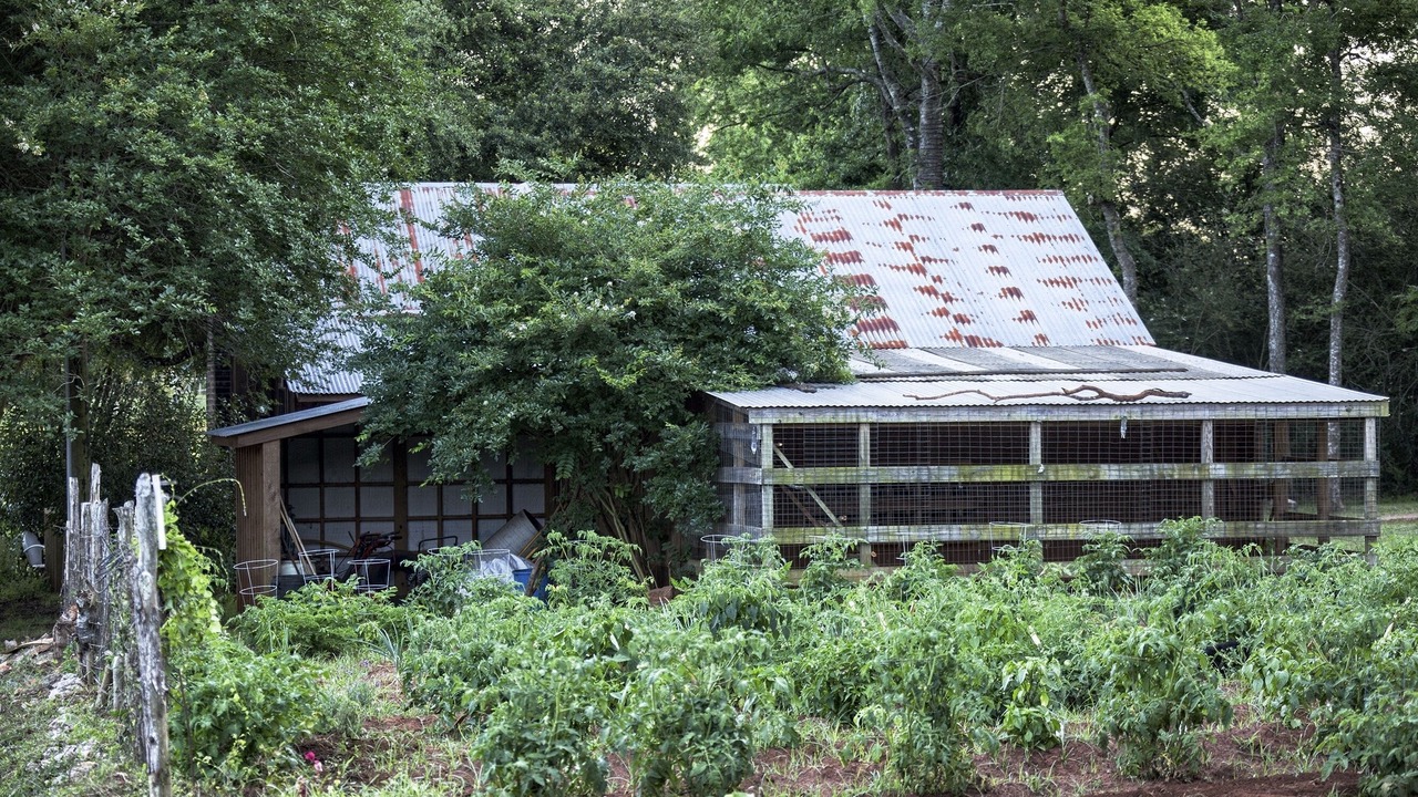 Photo of Outdoor in Nacogdoches