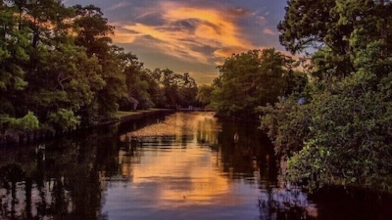 Photo of Others in Slidell