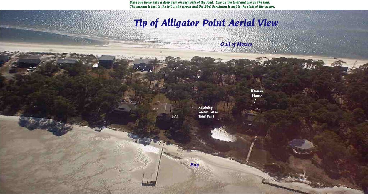 Photo of Outdoor in Alligator Point
