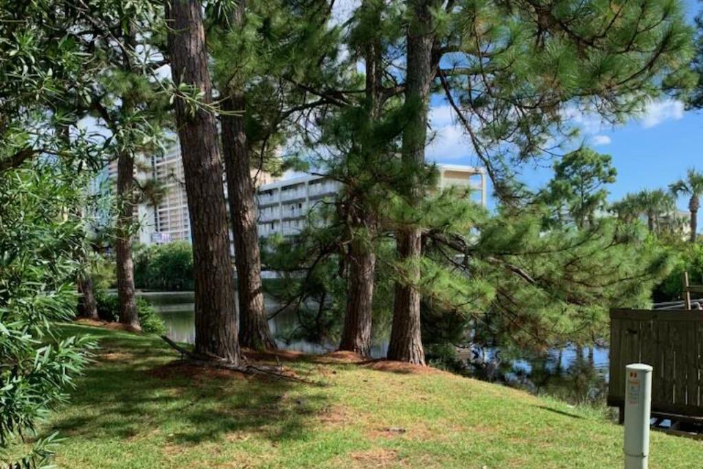 Photo of Outdoor in Panama City Beach