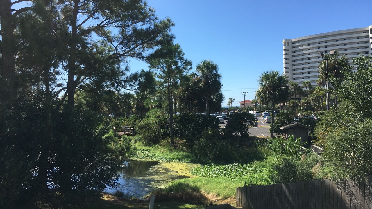 Photo of Others in Panama City Beach